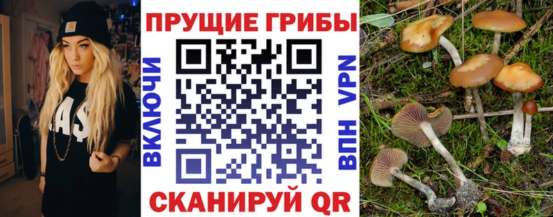 даркнет сайт  Ангарск  hydra как зайти  Псилоцибиновые грибы прущие грибы 